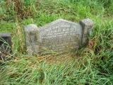 image of grave number 355066